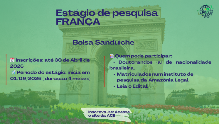 Bolsa Sanduíche França
